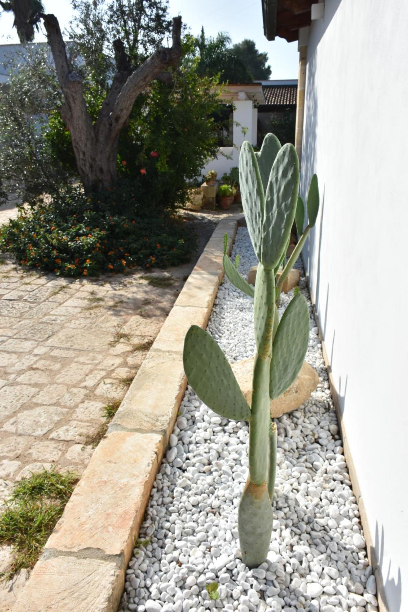 Masseria Tenuta Flora Maria Leverano Εξωτερικό φωτογραφία